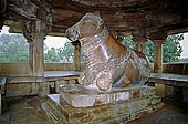 Khajuraho - Nandi shrine in front of Visvanatha Temple 